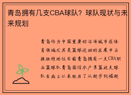 青岛拥有几支CBA球队？球队现状与未来规划