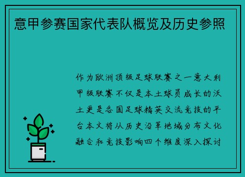 意甲参赛国家代表队概览及历史参照
