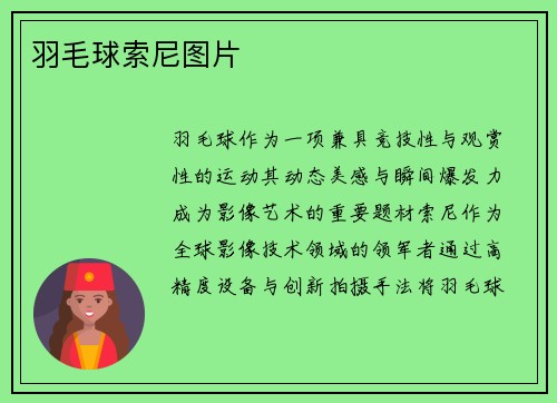 羽毛球索尼图片