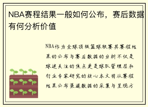 NBA赛程结果一般如何公布，赛后数据有何分析价值